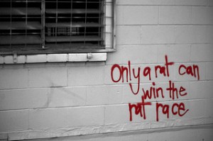 Only a rat can win the rat race