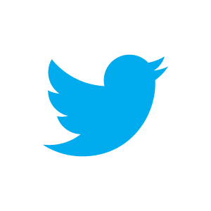 Twitter bird icon