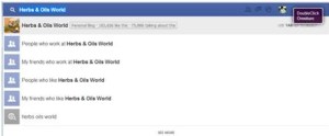 Facebook Graph Search