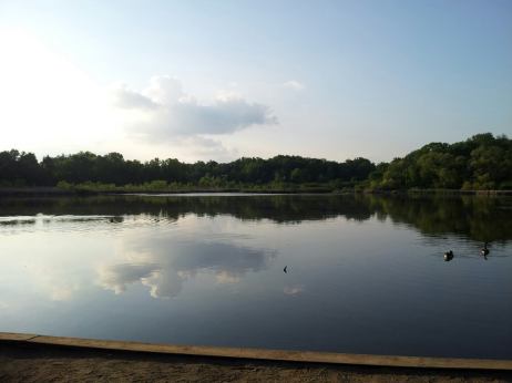 Alder Pond at Gorge Metro Park