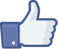Facebook: Like or Dislike?