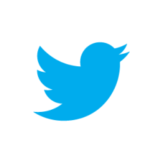 Twitter bird