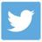 Twitter_2013_30x30