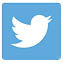 Twitter_2013_30x30