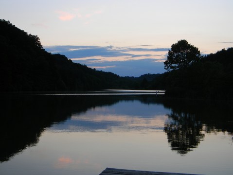 Need inspiration? Look at nature.