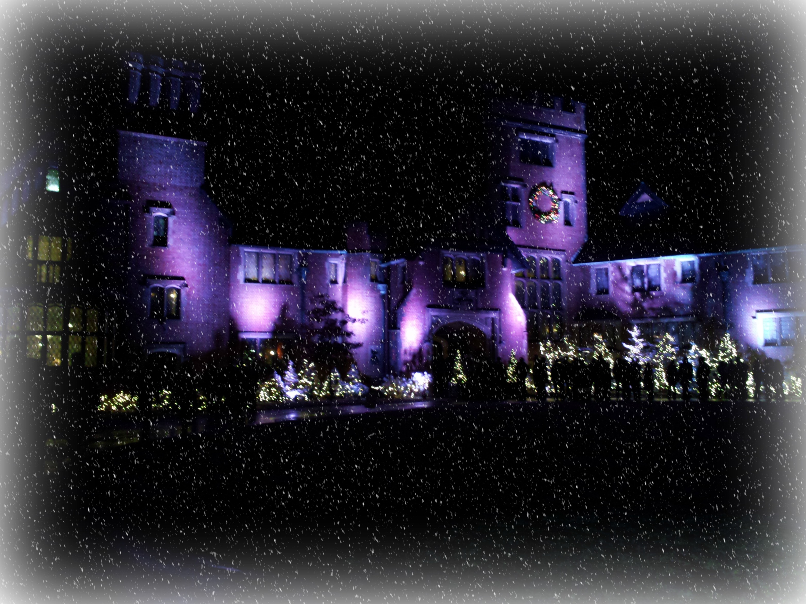It's beginning to look a lot like Christmas... Are you in the holiday spirit?
