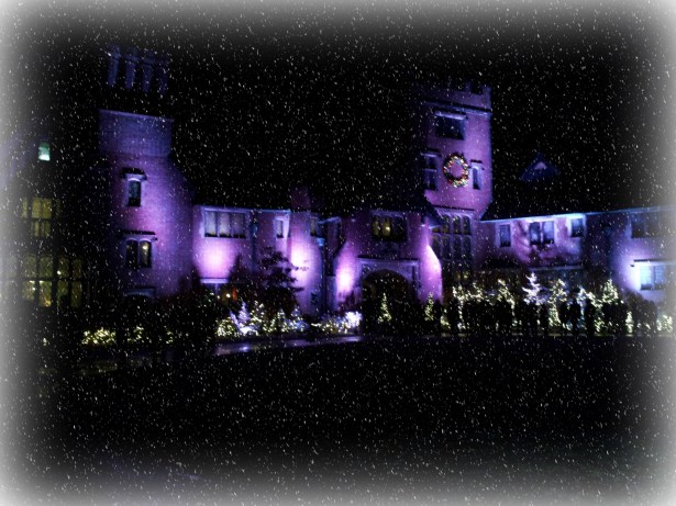 It's beginning to look a lot like Christmas... Are you in the holiday spirit?