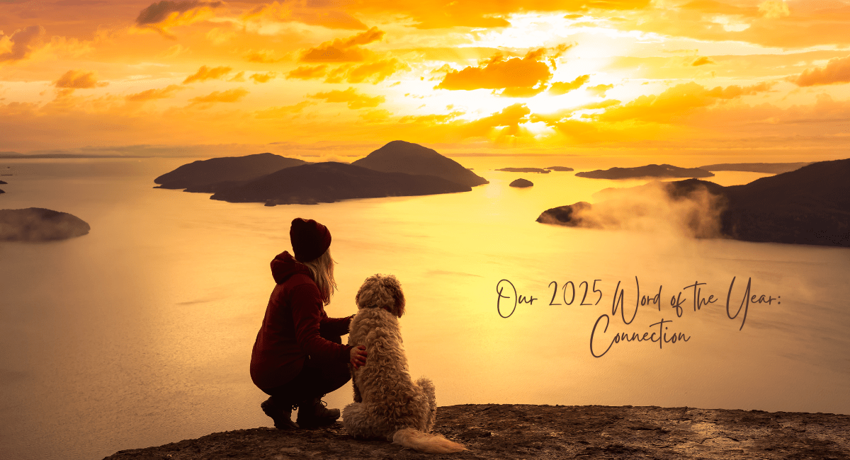 A woman squats next to her dog to enjoy the sunset over the water.